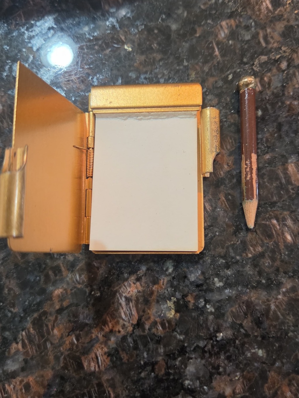 Gold Mini Notepad Case with Pencil